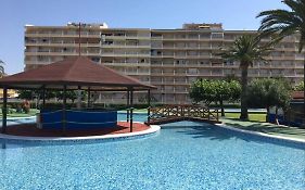 Peñismar 50